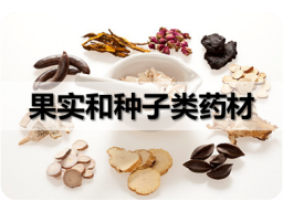 第十章果实和种子类药材