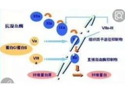 第七章 弥散性血管内凝血