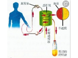 第十一章 肾功能不全