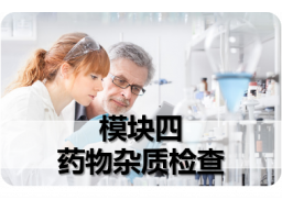 模块四  药物杂质检查