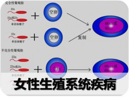 第九章 女性生殖系统疾病