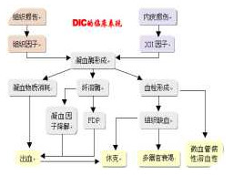 第十六章 DIC