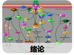 绪论   第一章 疾病概论