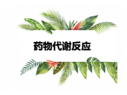药物的代谢反应