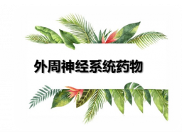 外周神经系统药物