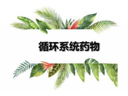 循环系统药物