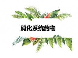 消化系统药物