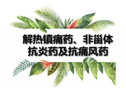 解热镇痛药和非甾类抗炎药