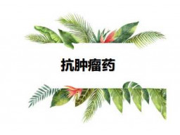 抗肿瘤药