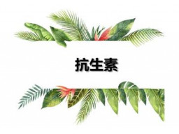 抗生素