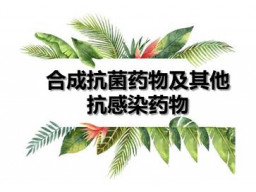 合成抗感染药
