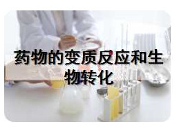 药物的变质反应和生物转化