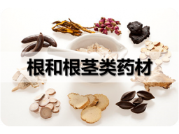 第六章 根和根茎类